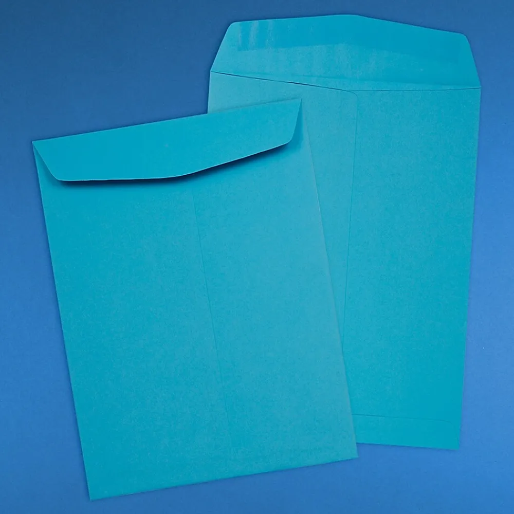 Best JAM Paper Open End Catalog Envelope, 9" x 12", Blue, 50/Pack (80386I)
