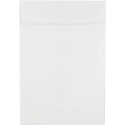 New JAM Paper Open End Open End #1 Catalog Envelope, 6" x 9", White, 500/Pack (356828777)