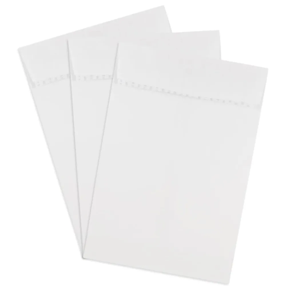 New JAM Paper Open End Open End #1 Catalog Envelope, 6" x 9", White, 500/Pack (356828777)