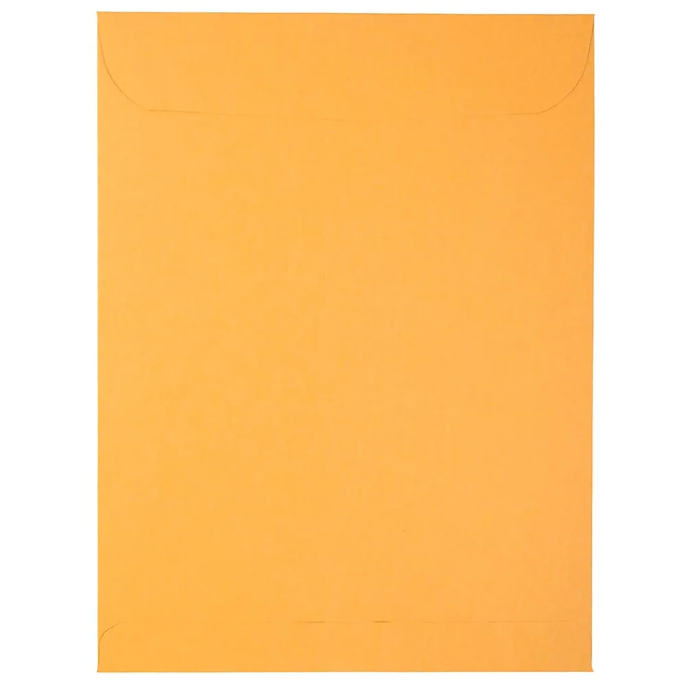 Clearance JAM Paper Peel & Seal Kraft Open End Catalog Envelope, 9 1/2" x 12 1/2", Brown, 500/Pack (13034232C)