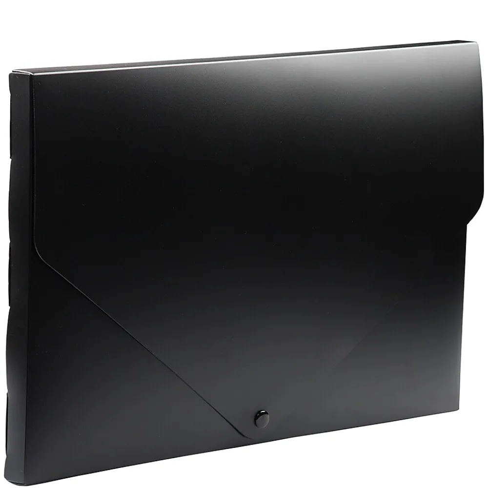 Plastic Portfolio Case with Snap Closure, Black (2254027)<JAM Paper Hot