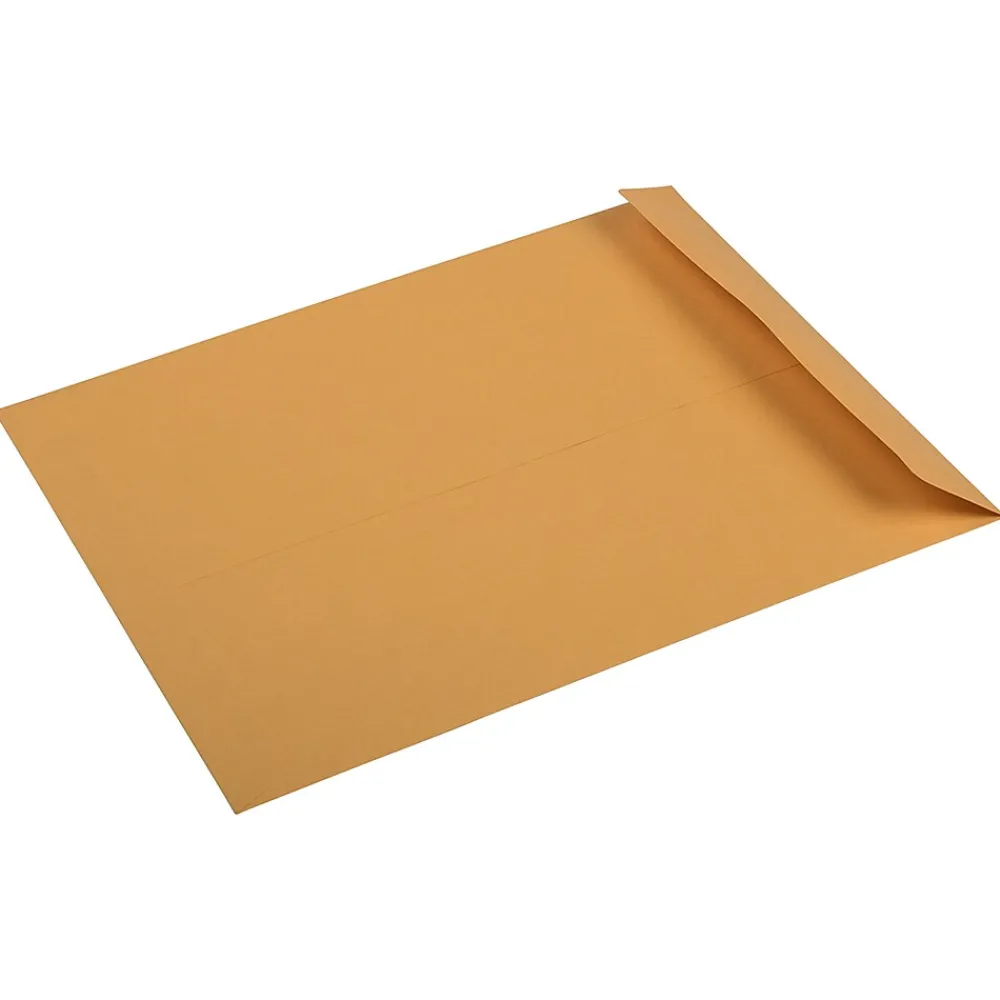 Discount JAM Paper Premium Kraft Catalog Envelope, 10" x 13", Brown Kraft Manila, 100/Pack (V018286)