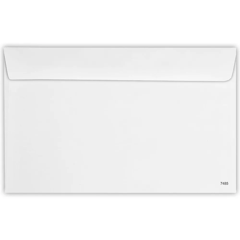 Best JAM Paper Security Tinted Booklet Envelope 5 3/4" x 9 1/4", White, 50/Pack (7485-W2-50)