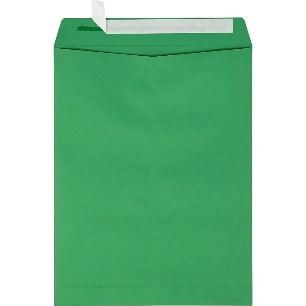 Online JAM Paper Self Seal Catalog Envelope, 9" x 12", Holiday Green, 500/Pack (FE-7280-12-500)