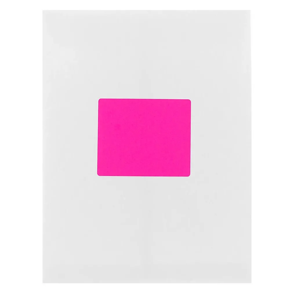 Clearance JAM Paper Shipping Labels, 3 1/3" x 4", , 6 Labels/Sheet, 20 Sheets/Pack (354328046) Neon Pink