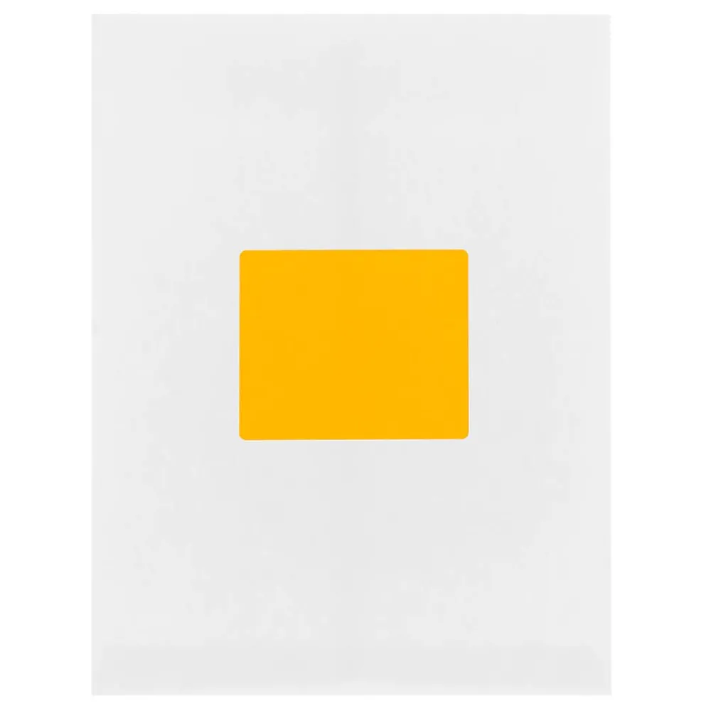 New JAM Paper Shipping Labels, Large, 3 1/3 x 4, , 6 Labels/Sheet, 20 Sheets/Pack (354328043) Neon Orange