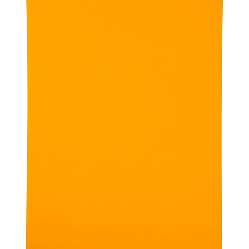 Sale JAM Paper Shipping Labels, 8 1/2" x 11", , 1 Label/Sheet, 10 Labels/Pack (337628613) Neon Orange