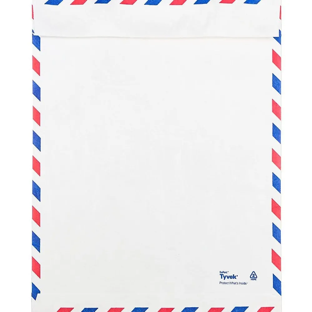 Online JAM Paper Tear-Proof Tyvek Open End Catalog Envelopes, 9" x 12", White Airmail, 10/Pack (2131102A)