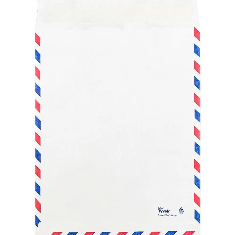 Online JAM Paper Tear-Proof Tyvek Open End Catalog Envelopes, 9" x 12", White Airmail, 10/Pack (2131102A)