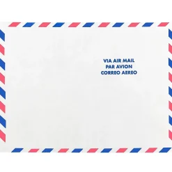 Discount JAM Paper Tear-Proof Tyvek Open End Catalog Envelopes, 9" x 12", White Airmail, 50/Pack (2131102C)