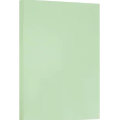 Card Stock*JAM Paper ® Vellum Bristol 67lb Cardstock, 11 x 17 Tabloid Coverstock, Green, 50 Sheets/Pack (16932836)
