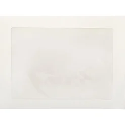 New JAM Paper Window Envelope, 9" x 12", White, 25/Pack (223932)