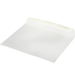 Best JAM Paper Window Envelope, 9