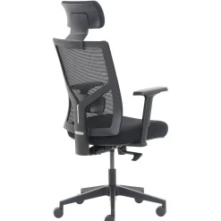 Ergonomic Chairs*La-Z-Boy Ergonomic Mesh Swivel Task Chair, (60021) Black