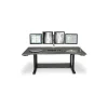 Standing Desks*Life Flo LifeFlo Ergonomics Bi-Level PACS Radiology Table, 78" L x 46" D x 1 1/8" Thick, Black (ECI-7846RAD-BK)