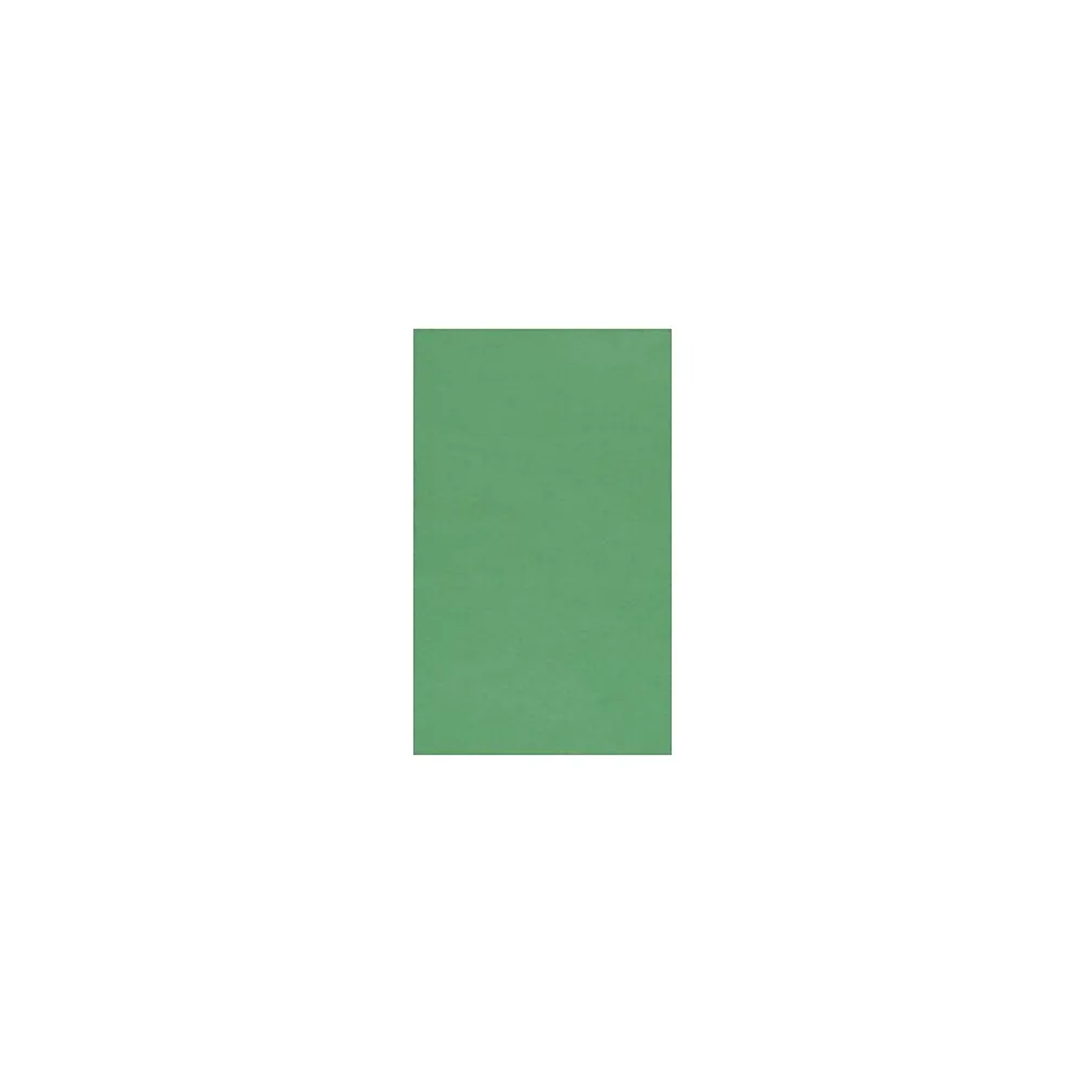 Multipurpose Paper*LUX 8 1/2" x 14" Multipurpose Paper, Holiday Green, 50/Pack (81214-P-L17-50)