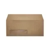 LUX 4 1/8" x 9 1/2" #10 Window Envelopes, Pastel Green, 50/Pack