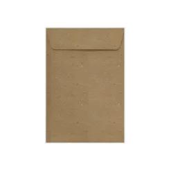 New LUX 6 .5" x 9.5" Open End Envelopes 50/Pack, Grocery Bag Brown,50/Pack(-1645-GB-50)