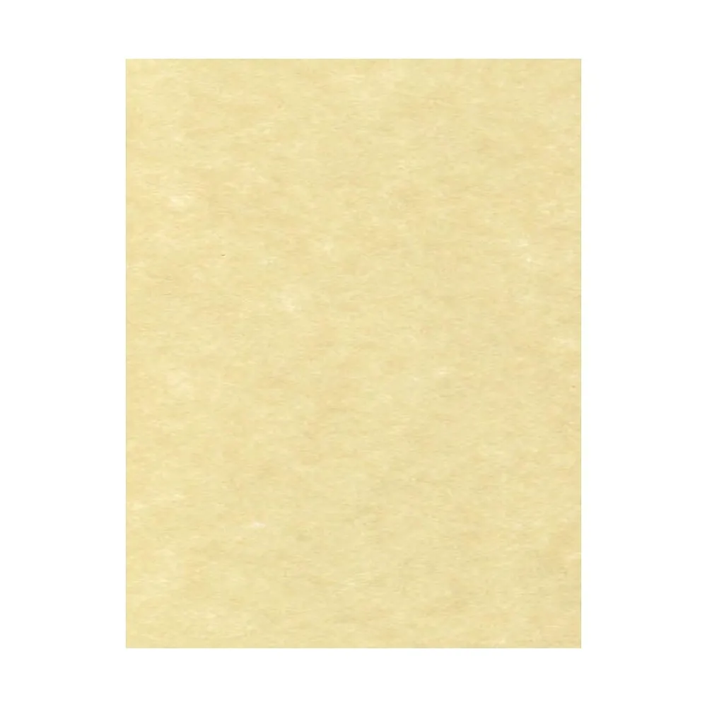 Card Stock*LUX 65 lb. Cardstock Paper, 8.5" x 11", Gold Parchment, 50 Sheets/Pack (81211-C-41-50)