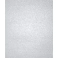 Card Stock*LUX 105 lb. Cardstock Paper, 13" x 19", Silver Metallic, 1000 Sheets/Pack (1319-C-M06-1000)