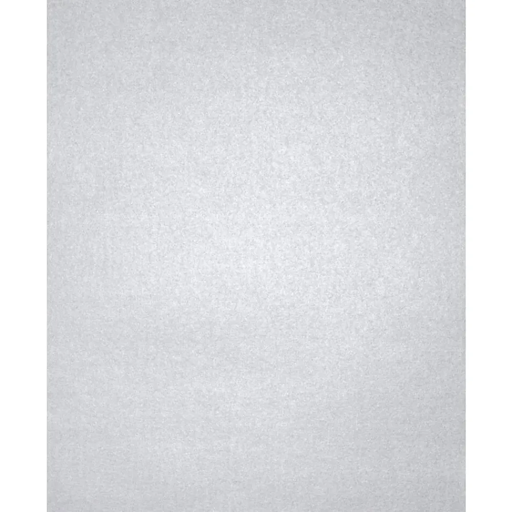 Card Stock*LUX 105 lb. Cardstock Paper, 13" x 19", Silver Metallic, 1000 Sheets/Pack (1319-C-M06-1000)