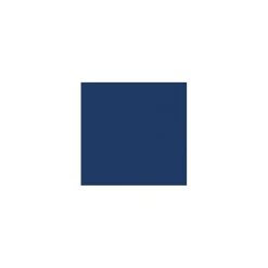 Card Stock*LUX 100 lb. Cardstock Paper, 12" x 12", Navy Blue, 1000 Sheets/Pack (1212-C-103-1M)