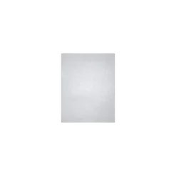 Card Stock*LUX 105 lb. Cardstock Paper, 11" x 17", Silver Metallic, 500 Sheets/Ream (1117-C-M06-500)