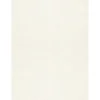 Card Stock*LUX 105 lb. Cardstock Paper, 11" x 17", Quartz Metallic, 500 Sheets/Ream (1117-C-M08-500)