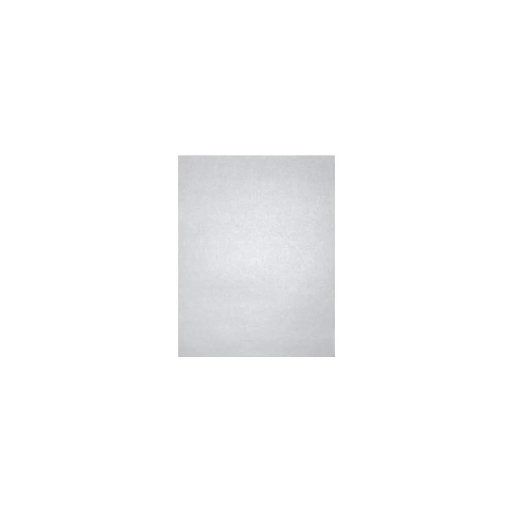 Card Stock*LUX 105 lb. Cardstock Paper, 11" x 17", Silver Metallic, 50 Sheets/Ream (1117-C-M06-50)