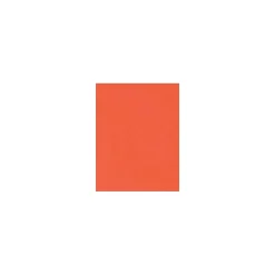 Card Stock*LUX 100 lb. Cardstock Paper, 11" x 17", Tangerine, 50 Sheets/Ream (1117-C-112-50)