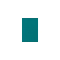 Card Stock*LUX 100 lb. Cardstock Paper, 11" x 17", Teal, 50 Sheets/Ream (1117-C-25-50)