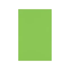 Card Stock*LUX 100 lb. Cardstock Paper, 11" x 17", Limelight, 50 Sheets/Pack (1117-C-101-50)