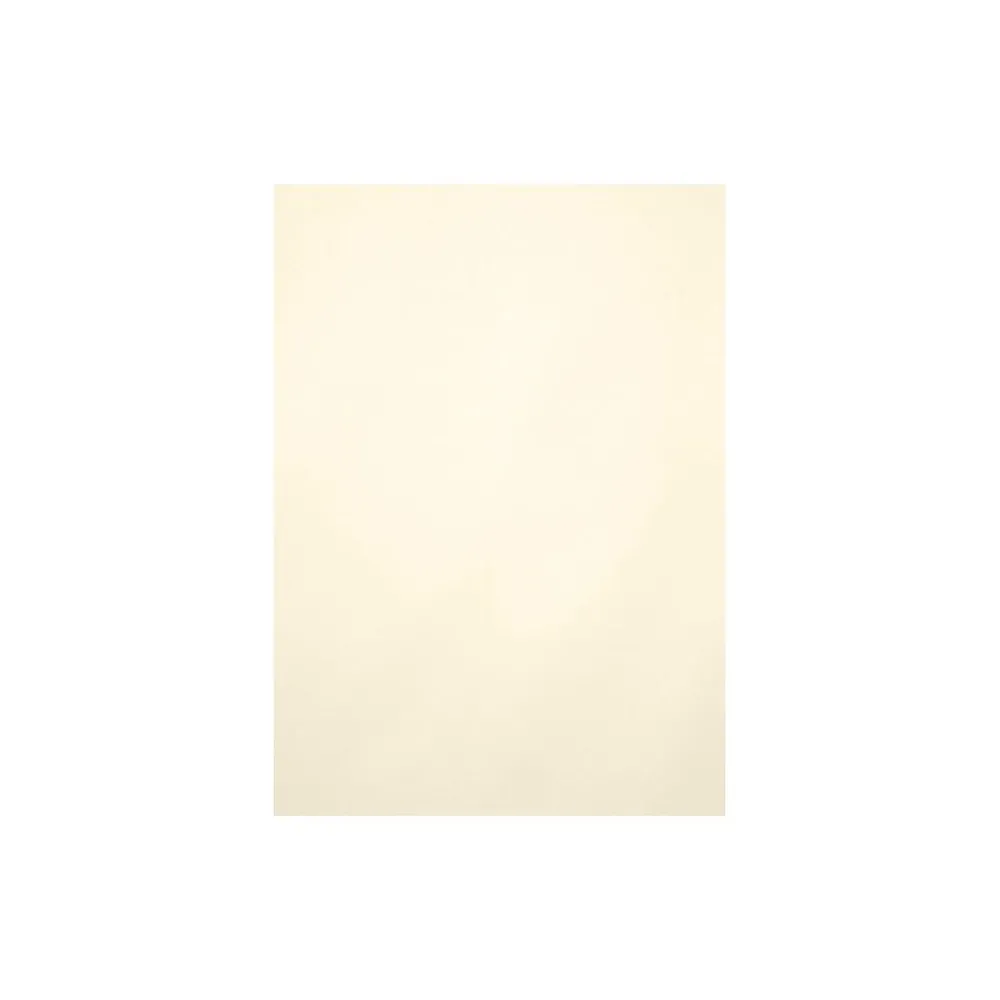 Card Stock*LUX 105 lb. Cardstock Paper, 8.5" x 11", Champagne Metallic, 250 Sheets/Pack (81211-C-M08-250)
