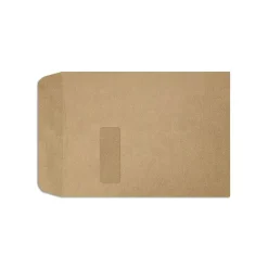 Hot LUX 9" x 12" Open End Window Envelopes, Grocery Bag