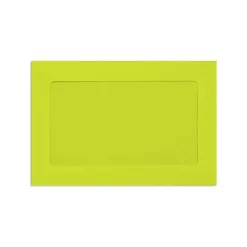 Discount LUX Full Face #10 Window Envelopes Wasabi 6 x 9 inch 250/Pack