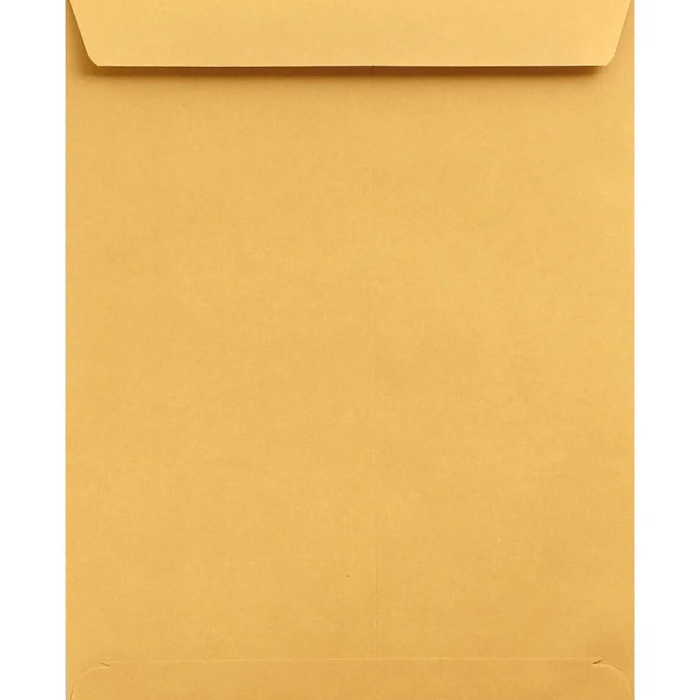 Best LUX Jumbo Kraft Envelope 13 x 19 inch Brown Kraft 50/Pack (22663-50)