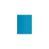Multipurpose Paper*LUX ® Paper, 11" x 17", Pool Blue, 1000 Qty (1117-P-102-1M)