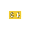 Labels|Medical Arts Press ® Barkley & Sycom® Compatible Alpha Sheet Style Labels, C