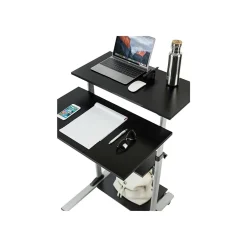 Standing Desks*Mount-It! 27.5