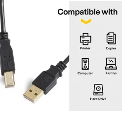NXT Technologies ™ 7' USB A Male/B Male, Black (NX29929)
