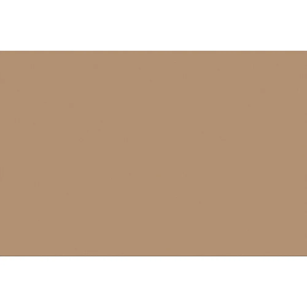 Construction Paper*Pacon 12" x 18" Construction Paper, Light Brown, 50 Sheets/Pack (PAC6907)