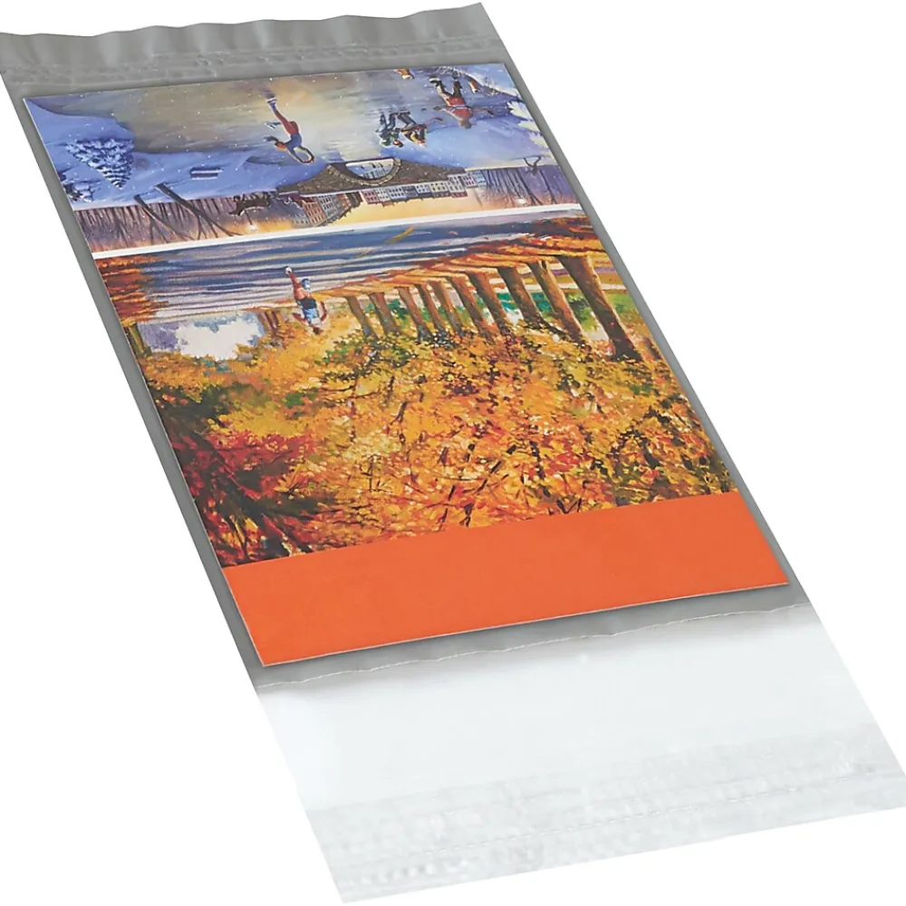 Hot Partners Brand Clear View Poly Mailers, 5" x 7", 100/Case (CV57)