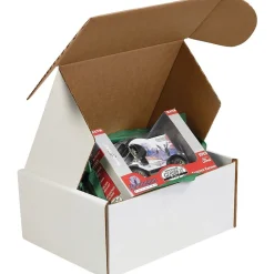 Hot Partners Brand Deluxe Literature Mailers, 16" x 12" x 6", White, 25/Bundle (MFL16126)