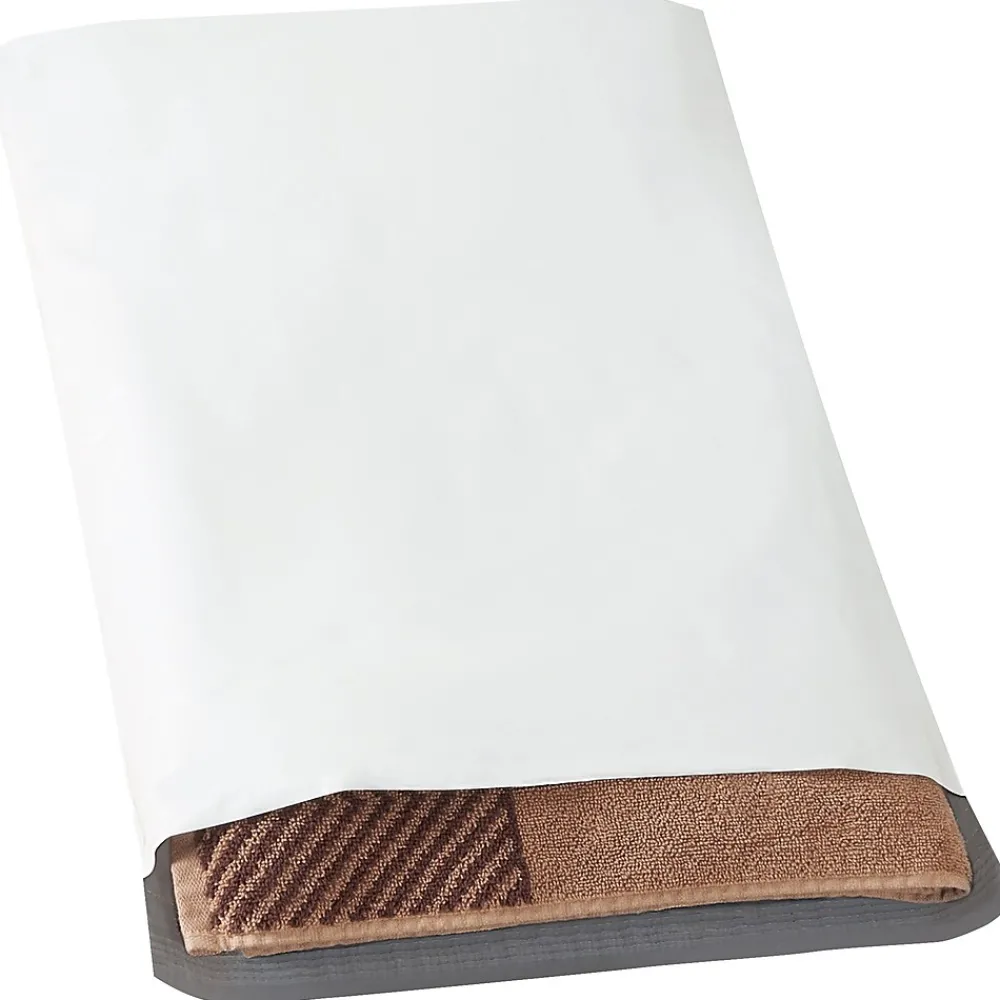 Sale Partners Brand Expansion Poly Mailers, 15" x 20" x 4", White, 100/Case (EPM15204)