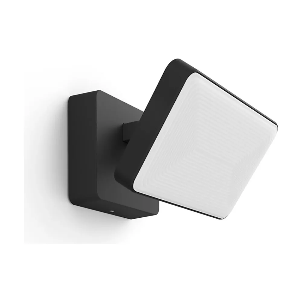 Philips Discover Floodlight LED Wall Outdoor Light, Metal (1743530V7)