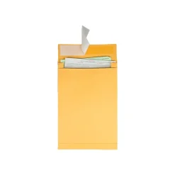 Best Quality Park Self Seal Kraft Catalog Envelopes, 10"L x 13"H, Brown, 25/Pack (QUA93336)