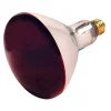 Satco Lighting 250-Watt Red Heat Incandescent Specialty Bulb, Dozen (S4998)