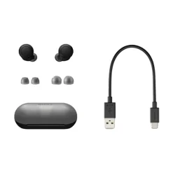 Wireless Earbuds, Bluetooth, Black (WFC500/B)<Sony