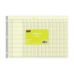 Accounting & Record Journals*Staples ® Columnar Book, 12 Columns, 16.31" x 11", Green, 50 Sheets/Book (217885)