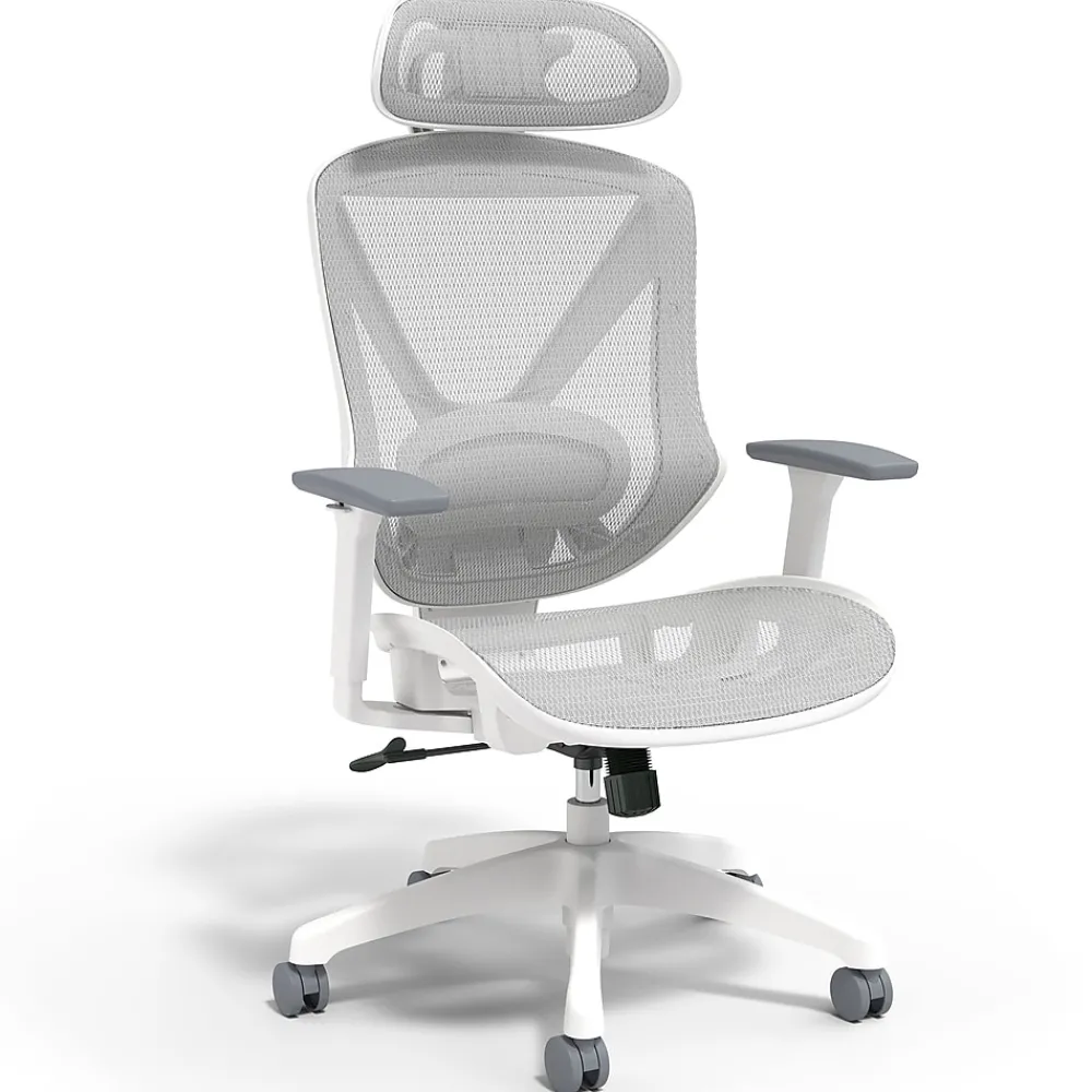 Ergonomic Chairs*Staples Dexley Ergonomic Mesh Swivel Task Chair, (UN61365) Gray
